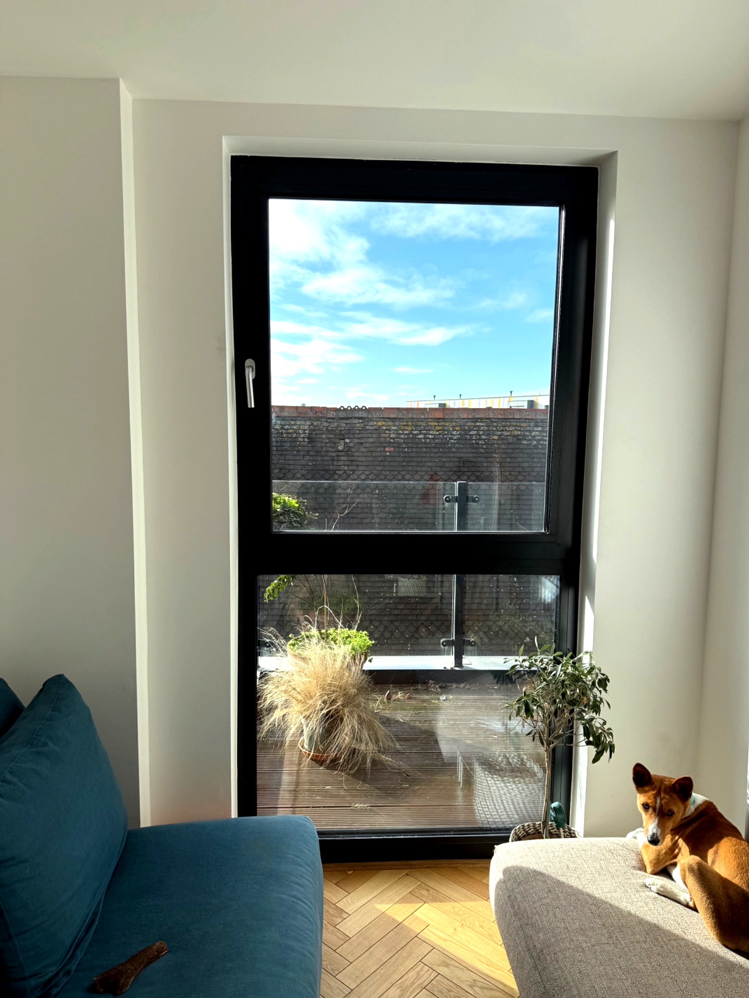 Window Fitting & Repairs